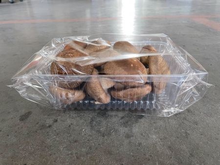 Mushroom Packaging Machine - brown mushrrom in clear tray